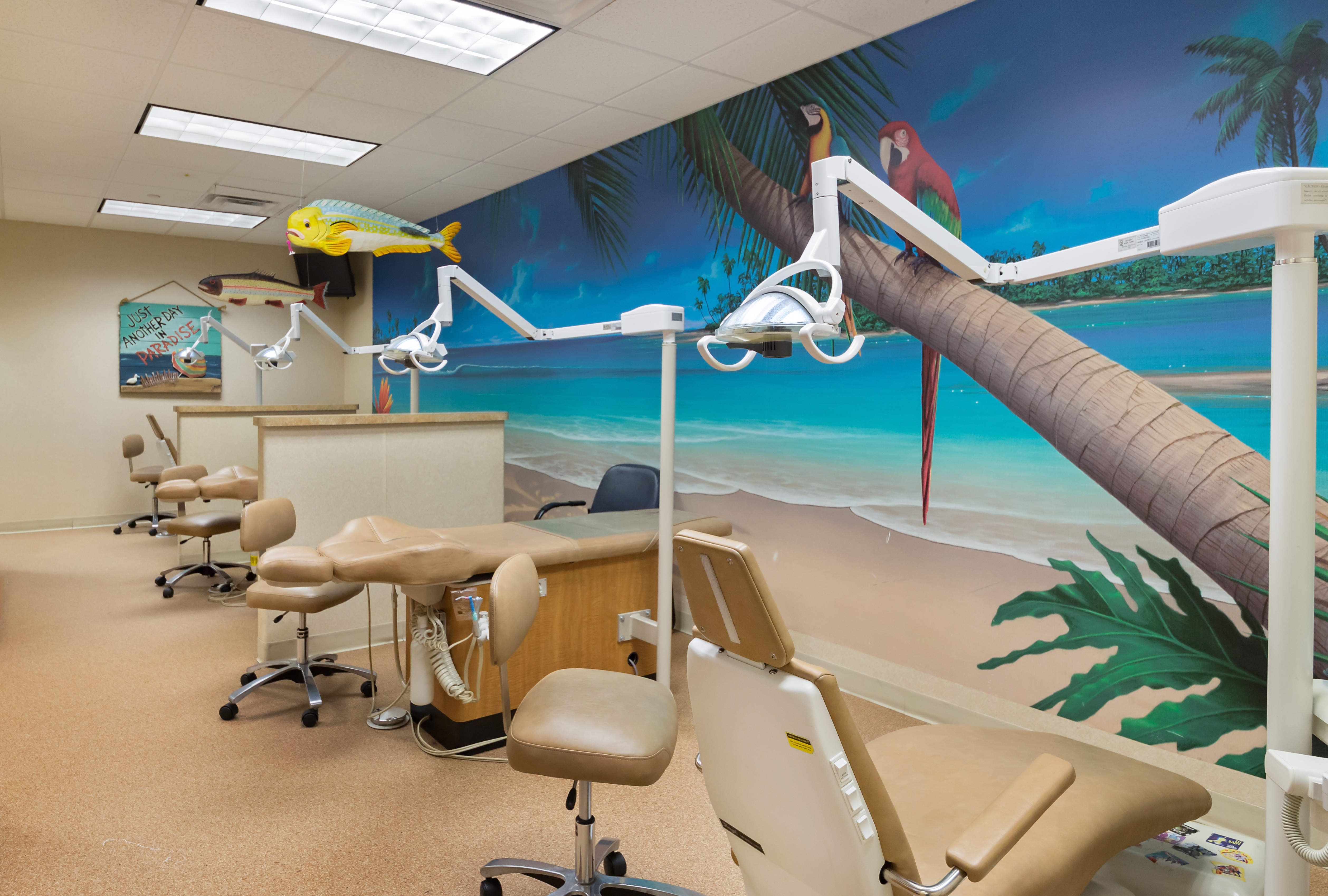 Children's Dental Health Pediatric Dentistry in Limerick, PA