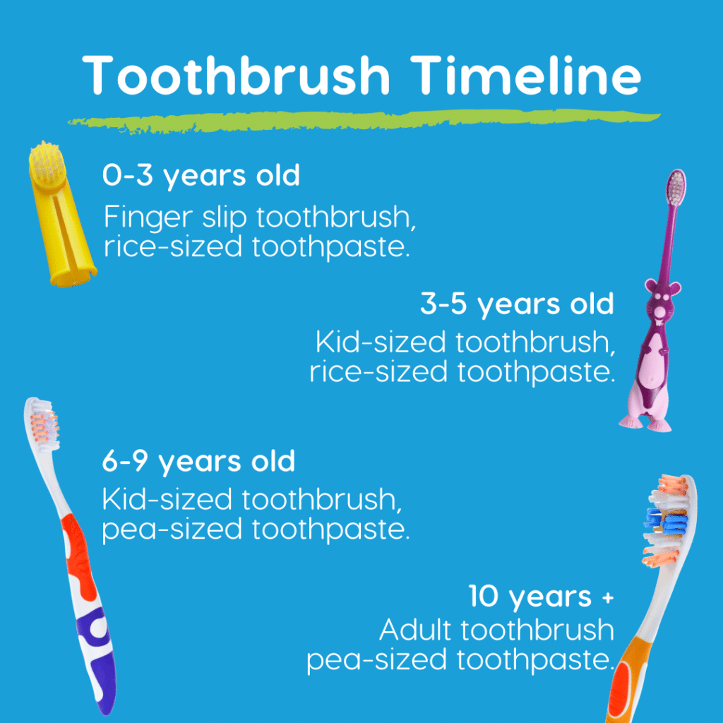 toothbrush timeline 